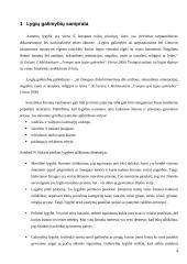 Lygių galimybių politika 4 puslapis