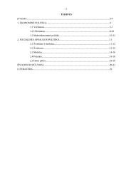 Lisabonos strategija. Jos svarba ir įgyvendinimas Lietuvoje 2 puslapis