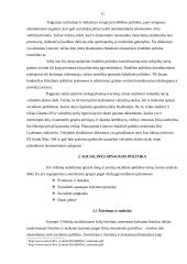 Lisabonos strategija. Jos svarba ir įgyvendinimas Lietuvoje 11 puslapis