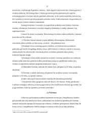 Lisabonos strategija. Jos svarba ir įgyvendinimas Lietuvoje 12 puslapis