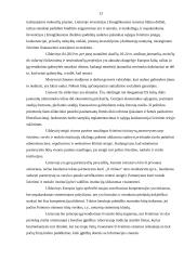 Lisabonos strategija. Jos svarba ir įgyvendinimas Lietuvoje 13 puslapis