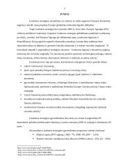 Lisabonos strategija. Jos svarba ir įgyvendinimas Lietuvoje 3 puslapis