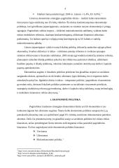 Lisabonos strategija. Jos svarba ir įgyvendinimas Lietuvoje 4 puslapis