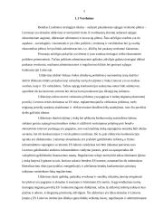 Lisabonos strategija. Jos svarba ir įgyvendinimas Lietuvoje 5 puslapis