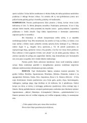 Literatūros kritika. Homero kūryba 13 puslapis