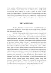 Literatūros kritika. Homero kūryba 18 puslapis
