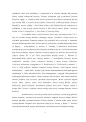 Literatūros kritika. Homero kūryba 4 puslapis