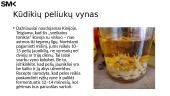Alternatyvus gydymas 18 puslapis