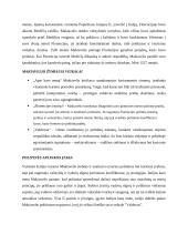 Makiavelis ir epocha: politinės aplinkos įtaka 2 puslapis