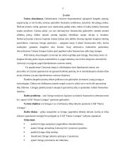 Lizingas ir jo svarbiausių rūšių taikymo ypatumai: UAB "Hanza Lizingas" 2 puslapis