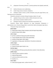 Lizingas ir jo svarbiausių rūšių taikymo ypatumai: UAB "Hanza Lizingas" 12 puslapis