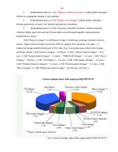 Lizingas ir jo svarbiausių rūšių taikymo ypatumai: UAB "Hanza Lizingas" 20 puslapis