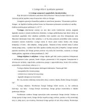 Lizingas ir jo svarbiausių rūšių taikymo ypatumai: UAB "Hanza Lizingas" 4 puslapis