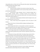 Lizingas ir jo svarbiausių rūšių taikymo ypatumai: UAB "Hanza Lizingas" 5 puslapis