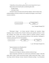 Lizingas ir jo svarbiausių rūšių taikymo ypatumai: UAB "Hanza Lizingas" 8 puslapis