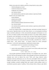 Lizingas, faktoringas, forfeitingas 14 puslapis