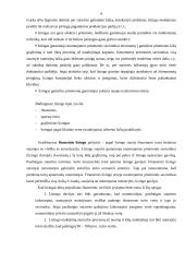 Lizingas, faktoringas, forfeitingas 9 puslapis