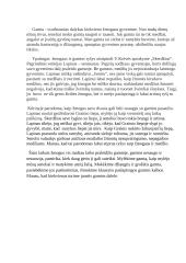 Rašinys tema: gamtos ir žmogaus ryšys