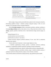 Lizingo analizė Lietuvoje 11 puslapis