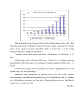 Lizingo analizė Lietuvoje 14 puslapis