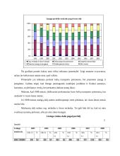 Lizingo analizė Lietuvoje 15 puslapis