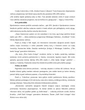 Lizingo analizė Lietuvoje 17 puslapis