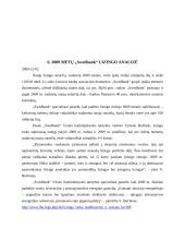 Lizingo analizė Lietuvoje 20 puslapis