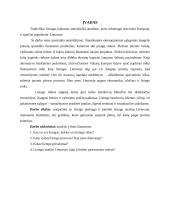 Lizingo analizė Lietuvoje 3 puslapis