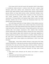 Lizingo analizė Lietuvoje 7 puslapis