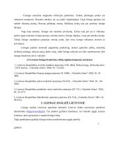 Lizingo analizė Lietuvoje 9 puslapis