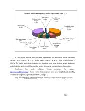 Lizingo analizė Lietuvoje 10 puslapis