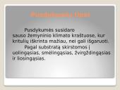 Dykumos ir pusdykumės. Skaidrės 3 puslapis