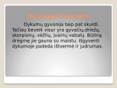 Dykumos ir pusdykumės. Skaidrės 6 puslapis