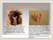 Dykumos ir pusdykumės. Skaidrės 7 puslapis