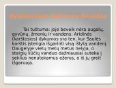 Dykumos ir pusdykumės. Skaidrės 8 puslapis