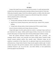 Lizingo naudojimas Žemės ūkio įmonėse 10 puslapis