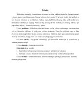 Finansų institucijos ir jų vaidmuo finansų rinkoje (rašto darbas) 2 puslapis