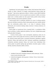 Lobizmas. Interesų grupės 11 puslapis