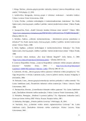 Lobizmo problemos Lietuvoje 11 puslapis