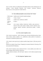 Logistikos centrai Lietuvoje 7 puslapis