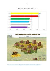 Amžinasis variklis 11 puslapis