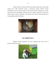 Amžinasis variklis 12 puslapis