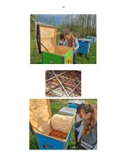 Amžinasis variklis 13 puslapis