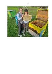 Amžinasis variklis 14 puslapis