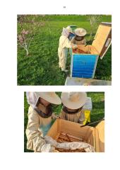 Amžinasis variklis 15 puslapis