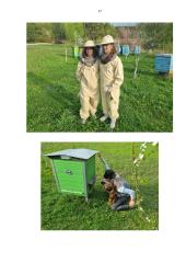 Amžinasis variklis 16 puslapis