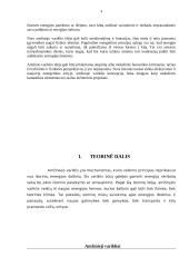 Amžinasis variklis 2 puslapis