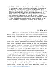 Amžinasis variklis 3 puslapis