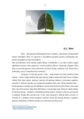 Amžinasis variklis 5 puslapis