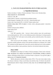 Naujos statybos prekybos centro ,,Iki“ pastato stogo dalies santvarų ir ryšių įrengimas 3 puslapis